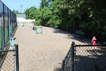 Dog park